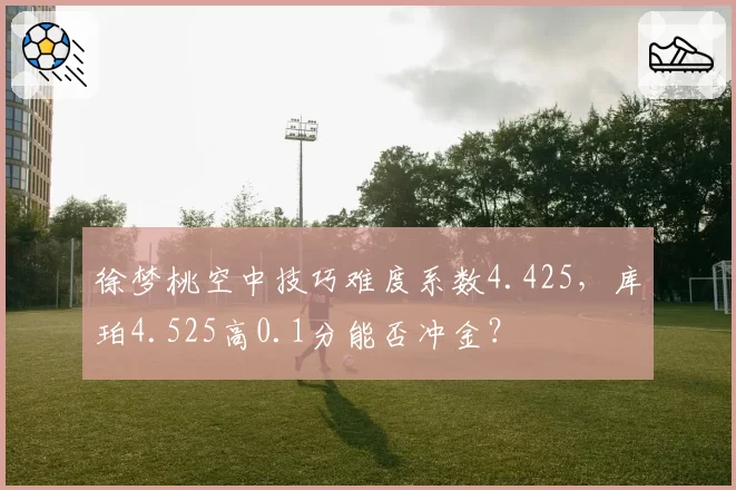 徐梦桃空中技巧难度系数4.425,库珀4.525高0.1分能否冲金?