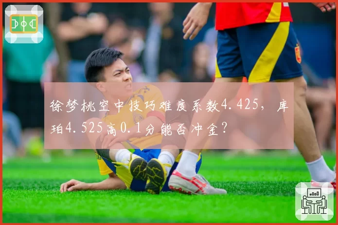 徐梦桃空中技巧难度系数4.425,库珀4.525高0.1分能否冲金?