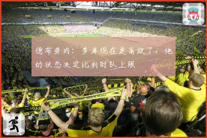德布劳内：多库现在更高效了，他的状态决定比利时队上限