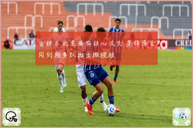 吉林东北虎面临核心流失 姜伟泽合同到期多队抛出橄榄枝